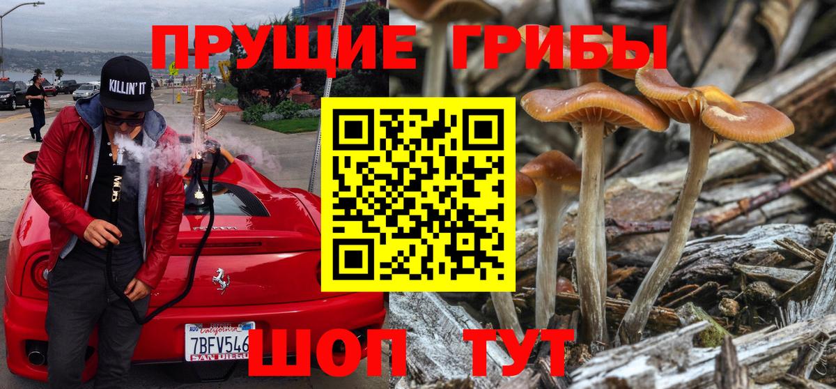 Галлюциногенные грибы GOLDEN TEACHER  Вход с VPN  Псилоцибиновые грибы MAGIC MUSHROOMS  Химки 