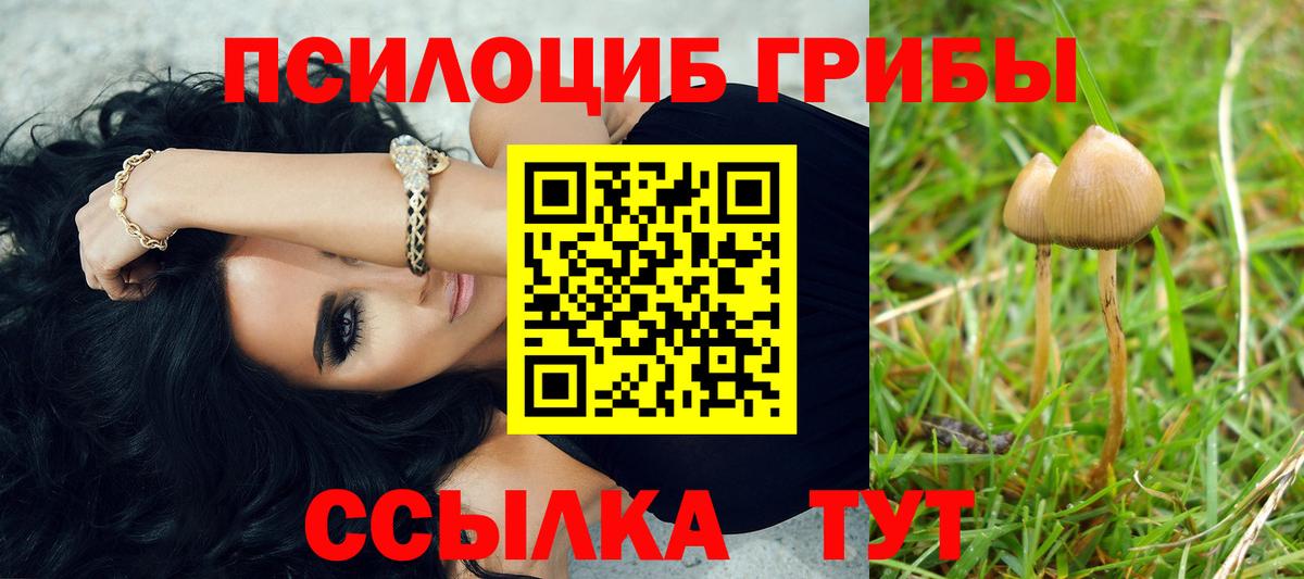 Галлюциногенные грибы MAGIC MUSHROOMS Химки
